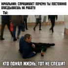 Прикрепленное изображение: Кто понял жизнь.jpg