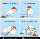 Прикрепленное изображение: Птичка запуталась.jpg