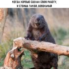 Прикрепленное изображение: 1733400499.jpg