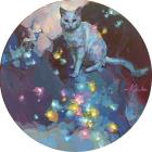 Прикрепленное изображение: f1Kd7aNAK3o.jpg