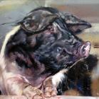 Прикрепленное изображение: 220-pr-Trotter.jpg