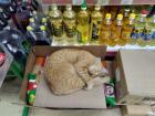 Прикрепленное изображение: котик в магазине.jpg