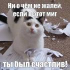 Прикрепленное изображение: Котик был счастлив.jpg