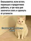 Прикрепленное изображение: 1765058511.jpg