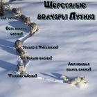 Прикрепленное изображение: a9d895156b15496b8614689641edb228.jpg