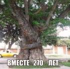 Прикрепленное изображение: 1765628752.jpg