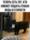 Прикрепленное изображение: Котик подает стакан воды.jpg