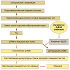 Прикрепленное изображение: prov2b.gif